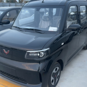 WULING ZHIGUANG New Energy 2025 305km Progress Edition