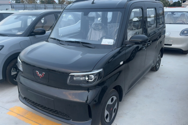 WULING ZHIGUANG New Energy 2025 305km Progress Edition