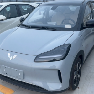WULING BINGO PLUS 2024 401km 5-Seat Edition