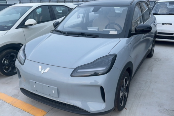 WULING BINGO PLUS 2024 401km 5-Seat Edition