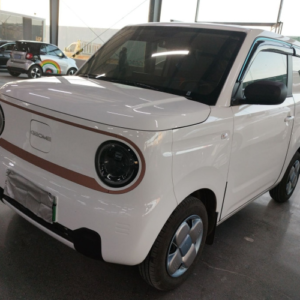GEELY YINHE 2024 Panda Mini 200km Endurance Edition