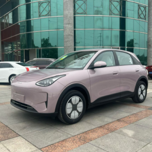 GEELY YINHE STAR WISH 2026 310km Youth Edition