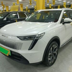 Haval XIAOLONG MAX 2023 1.5L Hi4 105km 4WD Intelligent Flagship Edition