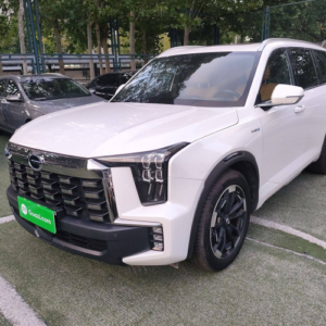 GAC MOTOR ES9 2024 PHEV 143km Voyager Max