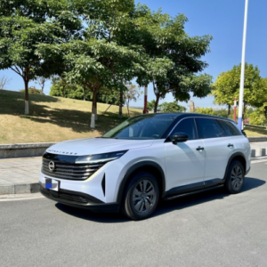 Nissan Tanlu 2024 Model Smart Enjoy Edition