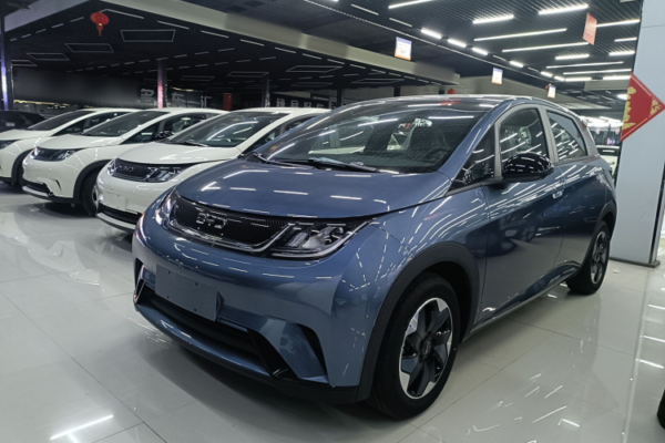 BYD DOLPHIN 2025 420km Freedom Edition