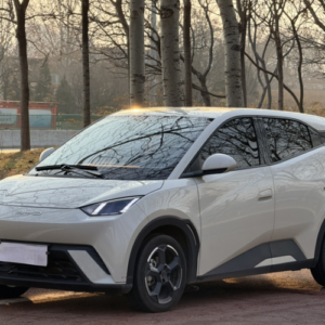 BYD SEAGULL 2023 Freedom Edition