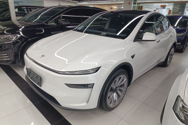 Tesla Model Y 2025 Long Range Dual Motor AWD