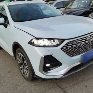 WEY Latte DHT 2022 1.5T DHT Tall Edition